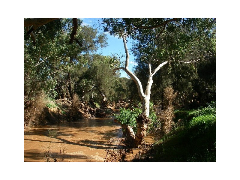 lot 60 Strawberry North East Road, Yarragadee WA 6522