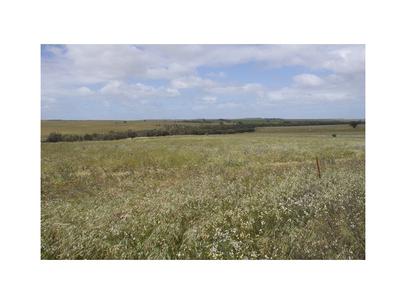 lot 60 Strawberry North East Road, Yarragadee WA 6522