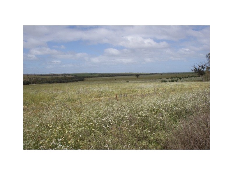 lot 60 Strawberry North East Road, Yarragadee WA 6522