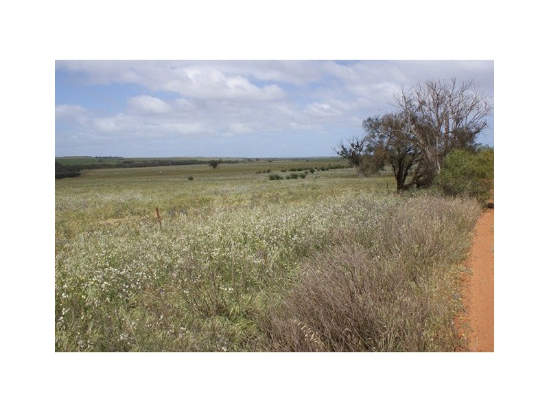 lot 60 Strawberry North East Road, Yarragadee WA 6522