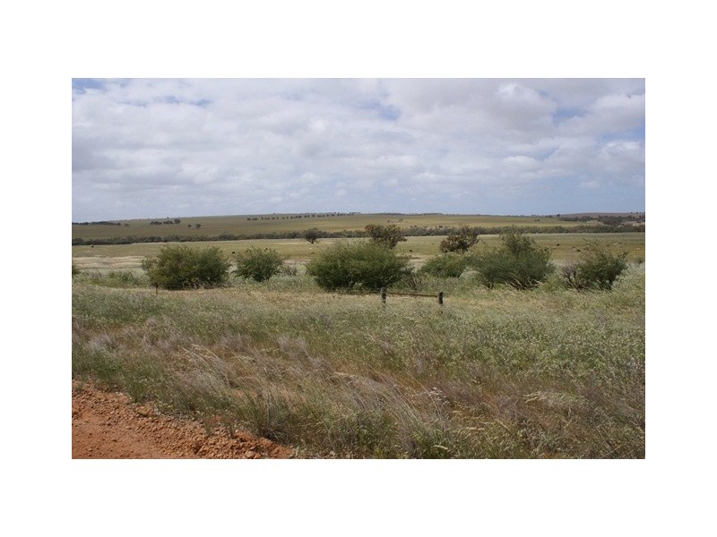 lot 60 Strawberry North East Road, Yarragadee WA 6522