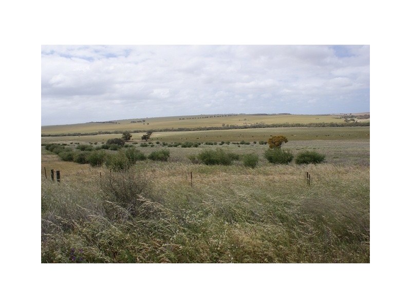 lot 60 Strawberry North East Road, Yarragadee WA 6522