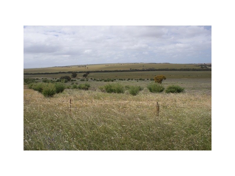 lot 60 Strawberry North East Road, Yarragadee WA 6522