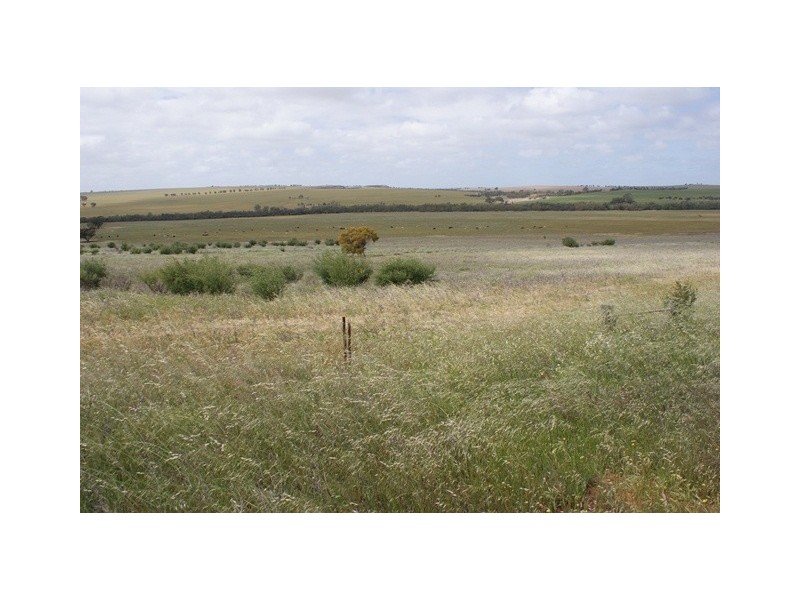 lot 60 Strawberry North East Road, Yarragadee WA 6522