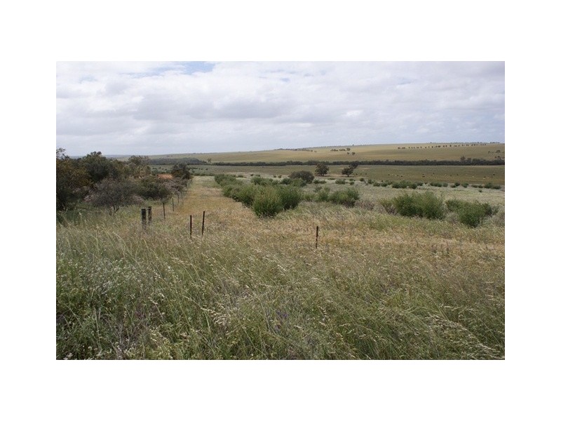 lot 60 Strawberry North East Road, Yarragadee WA 6522