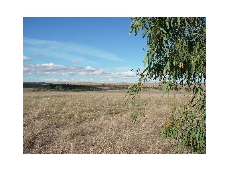 LOT 63 Strawberry North East Road, Yarragadee WA 6522