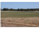 Lot 113 Padbury Road, Bonniefield WA 6525