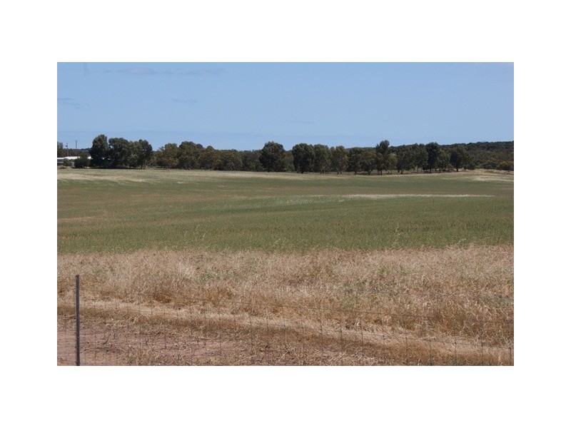 Lot 113 Padbury Road, Bonniefield WA 6525