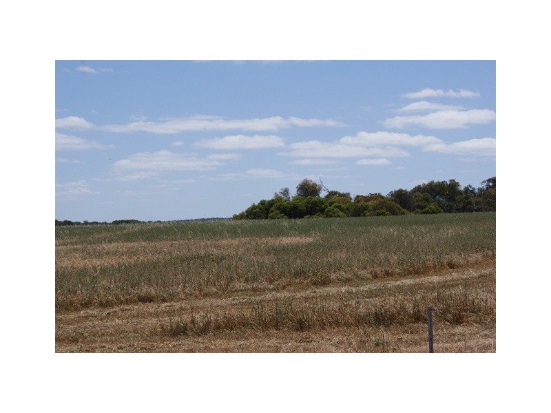 Lot 113 Padbury Road, Bonniefield WA 6525