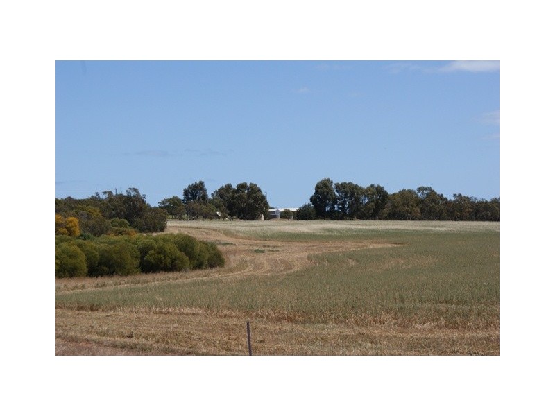 Lot 113 Padbury Road, Bonniefield WA 6525