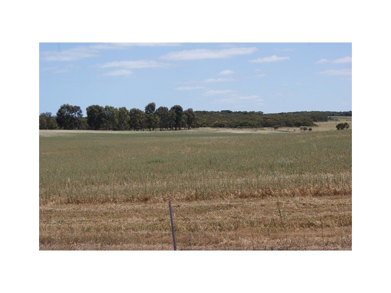 Lot 113 Padbury Road, Bonniefield WA 6525