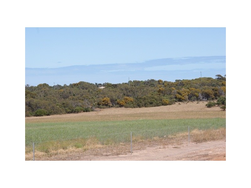 Lot 113 Padbury Road, Bonniefield WA 6525