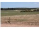Lot 113 Padbury Road, Bonniefield WA 6525