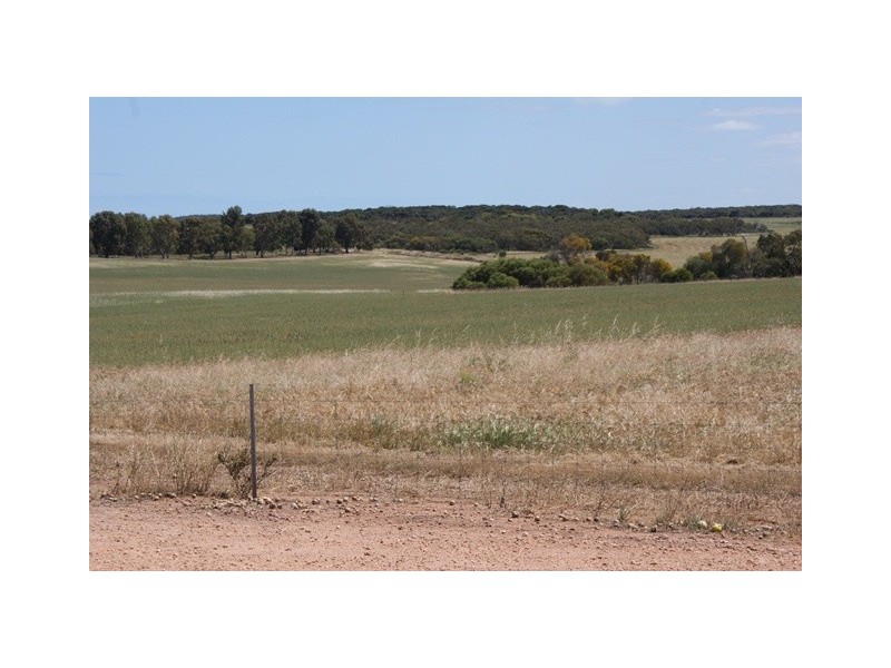 Lot 113 Padbury Road, Bonniefield WA 6525