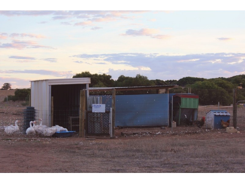 Lot 116 Padbury Road, Bookara WA 6525