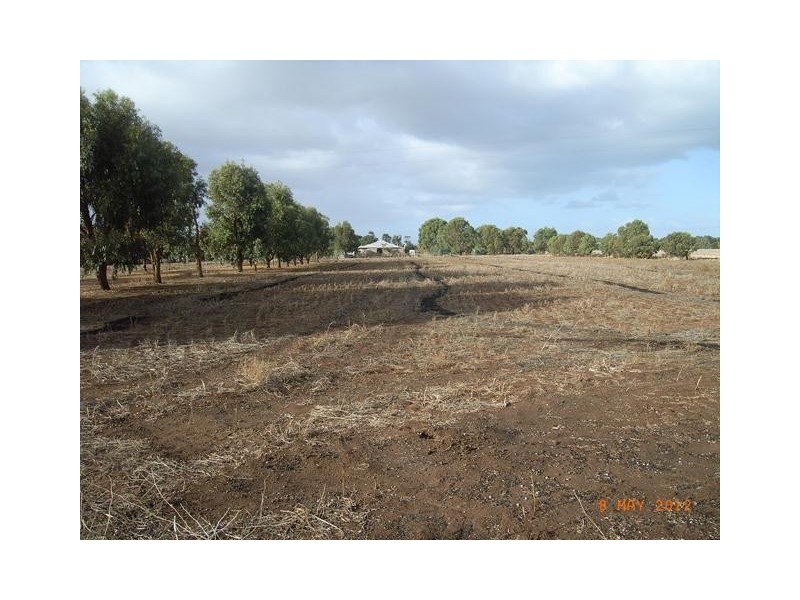 22 Bonniefield East Road, Dongara WA 6525