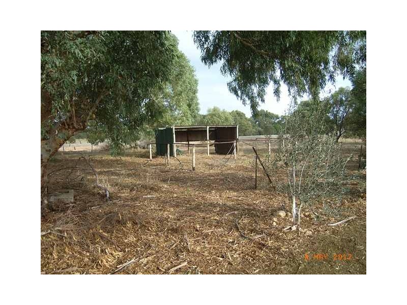 22 Bonniefield East Road, Dongara WA 6525