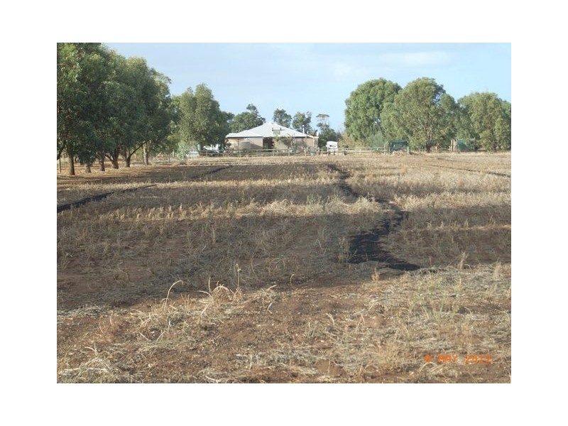 22 Bonniefield East Road, Dongara WA 6525