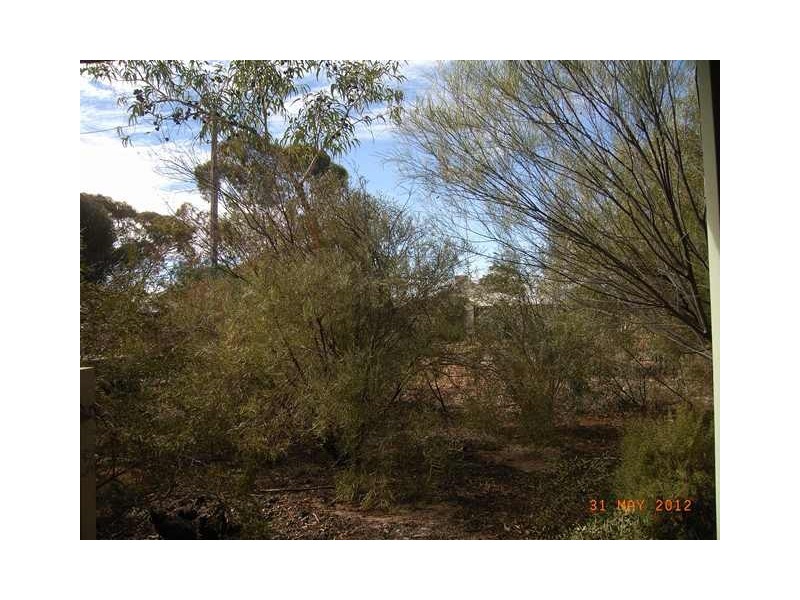 Lot 84 Livingstone Street, Perenjori WA 6620