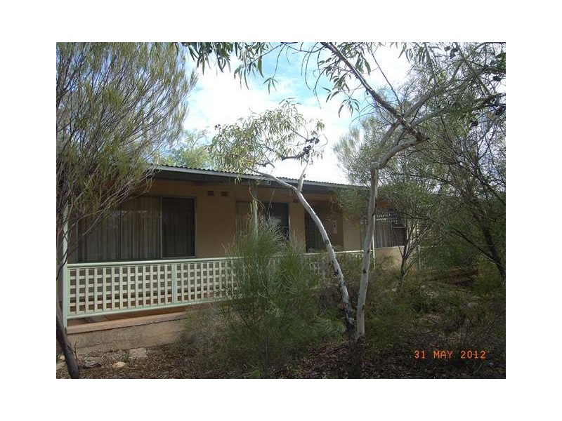 Lot 84 Livingstone Street, Perenjori WA 6620
