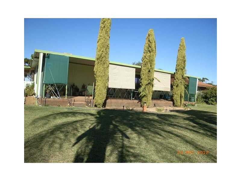 19 Franklin Street, Three Springs WA 6519