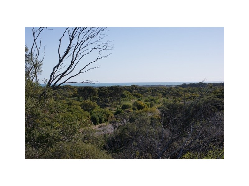 Lot 131 Bottlebrush Cove, Port Denison WA 6525
