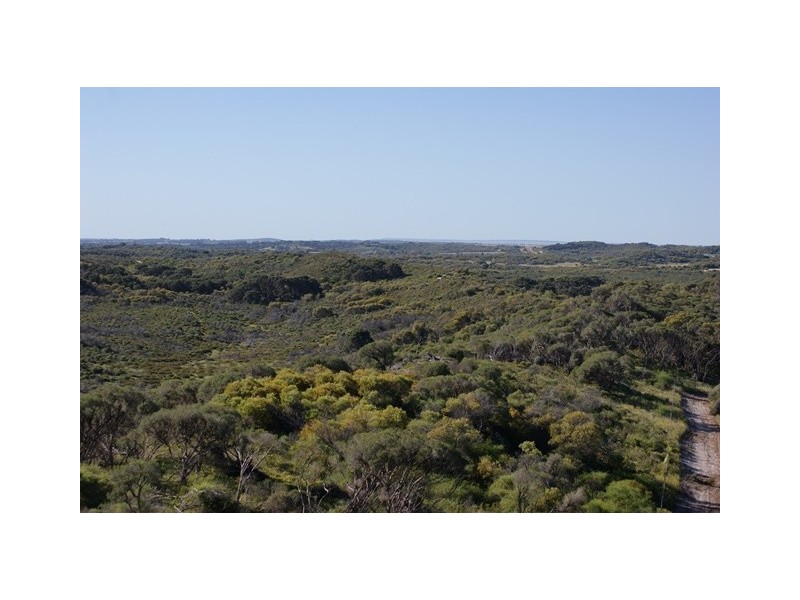 Lot 131 Bottlebrush Cove, Port Denison WA 6525