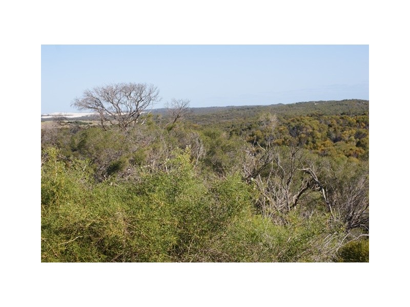 Lot 131 Bottlebrush Cove, Port Denison WA 6525