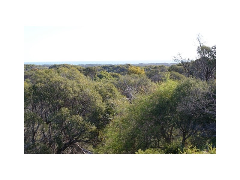 Lot 131 Bottlebrush Cove, Port Denison WA 6525