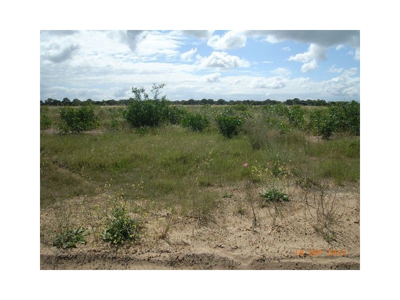 13 Cardwell Gardens, Dongara WA 6525