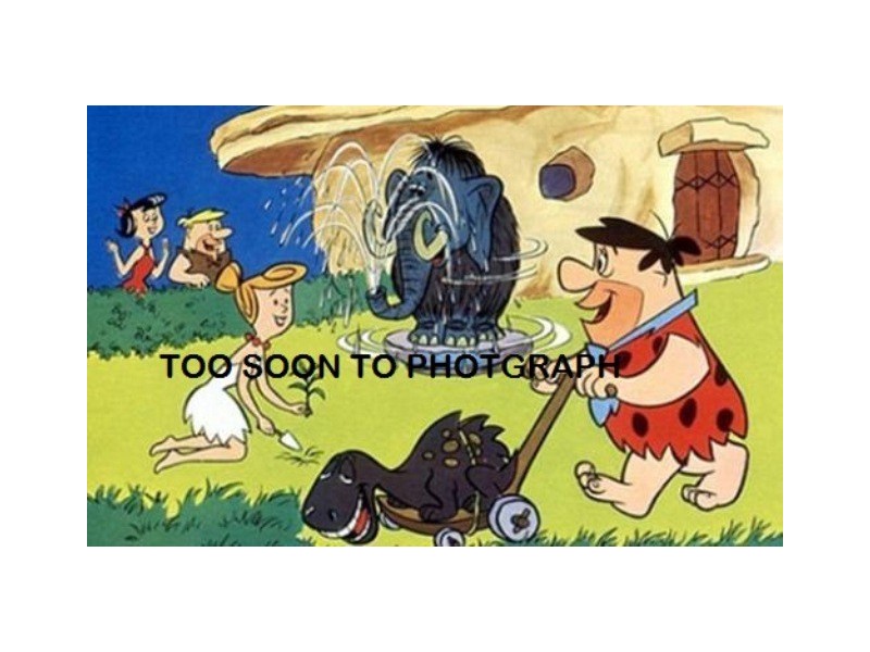 10 William Street, Mingenew WA 6522