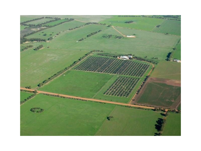 126 Fane Road, Dongara WA 6525