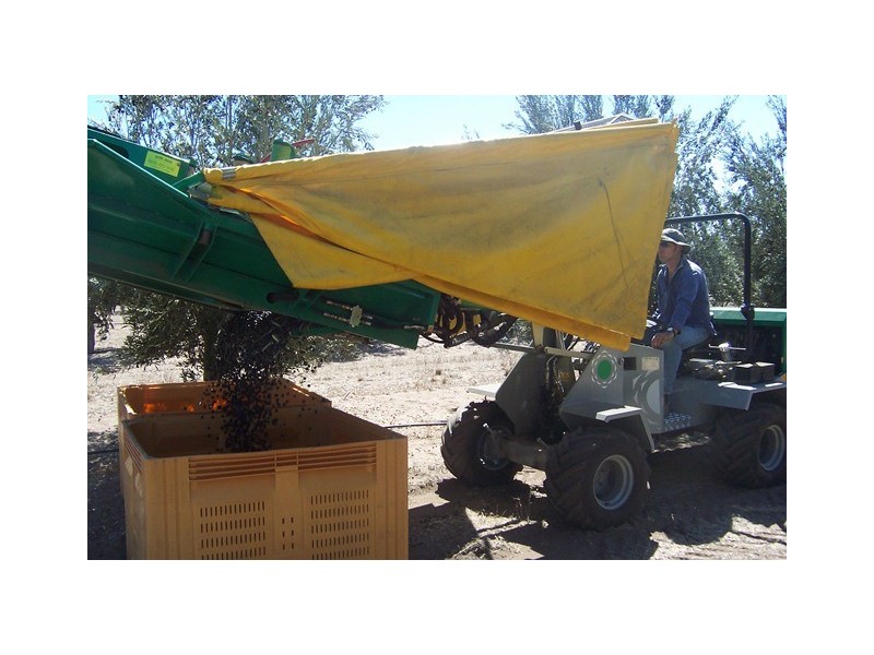 126 Fane Road, Dongara WA 6525