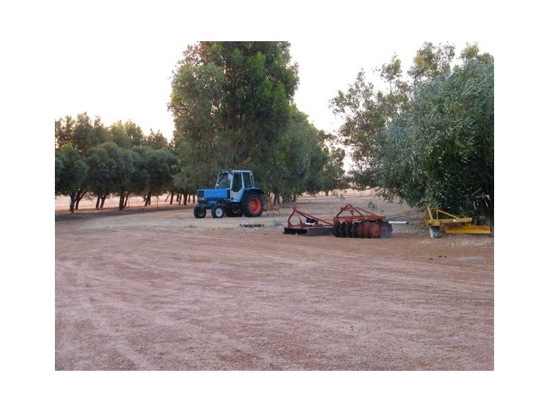 126 Fane Road, Dongara WA 6525