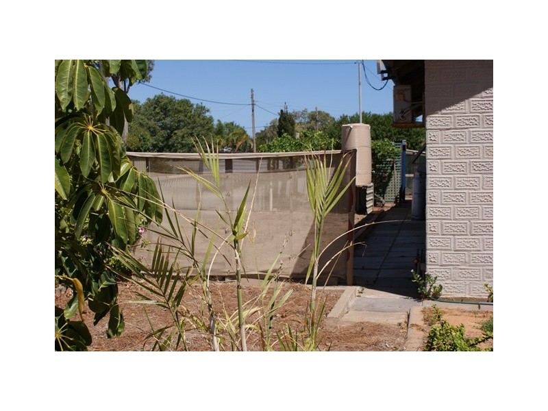 19 Walton Street, Dongara WA 6525