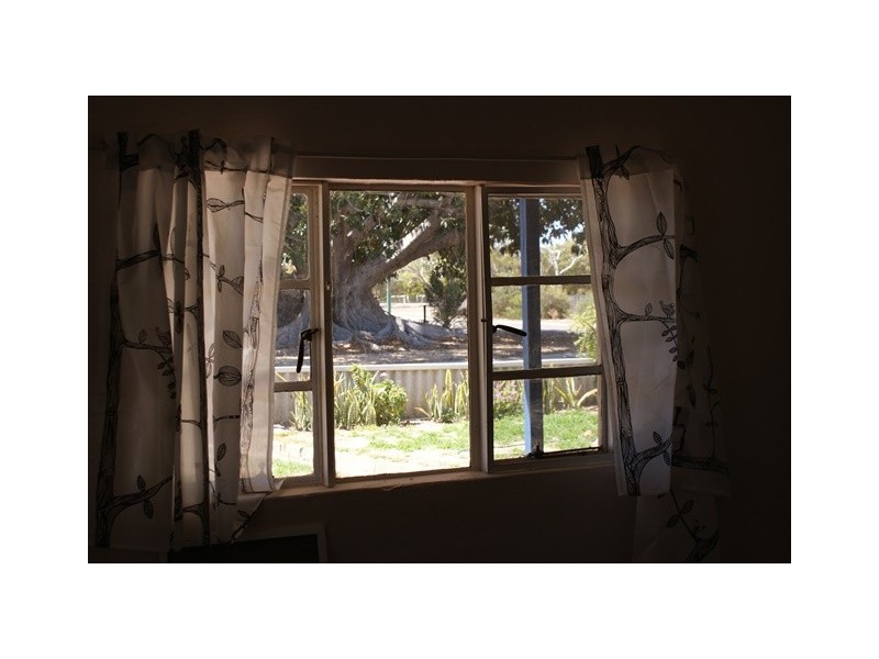 19 Walton Street, Dongara WA 6525