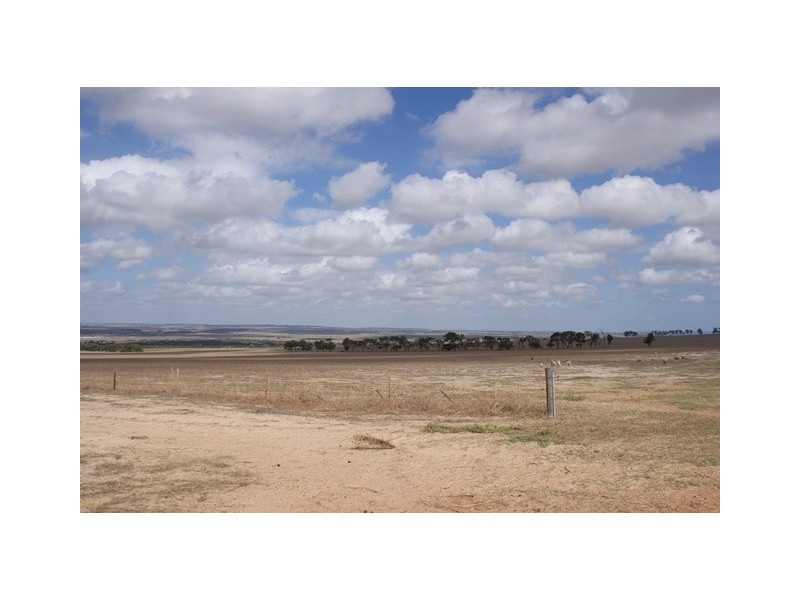 1986 Allanooka Springs Road, Allanooka WA 6525