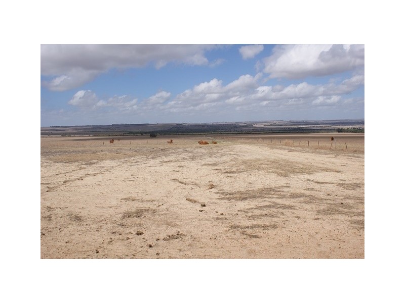 1986 Allanooka Springs Road, Allanooka WA 6525