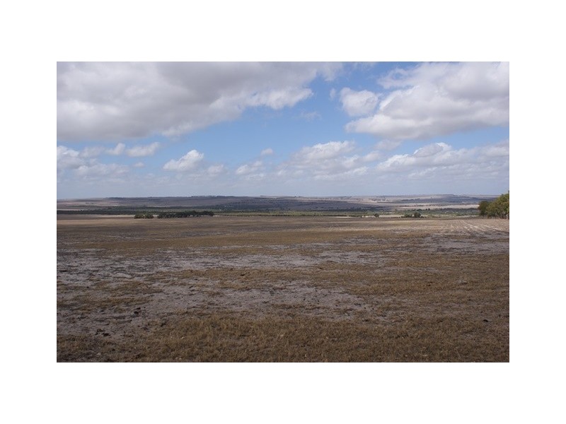 1986 Allanooka Springs Road, Allanooka WA 6525