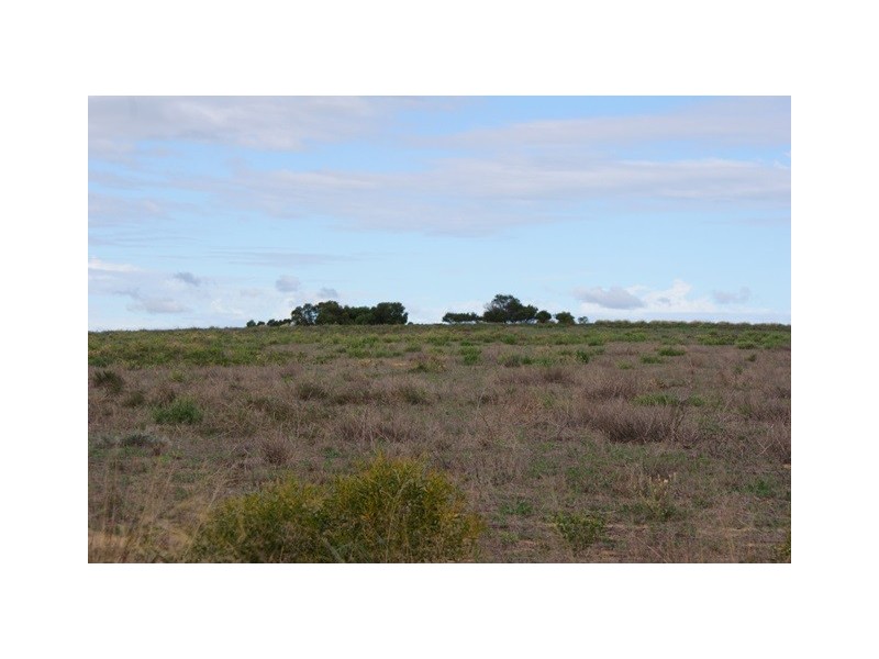 2368 Wye Farm Road, Dongara WA 6525