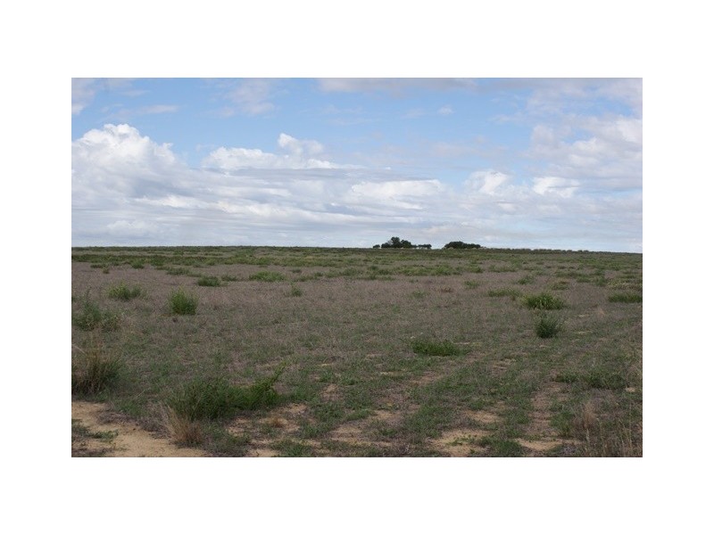 2368 Wye Farm Road, Dongara WA 6525