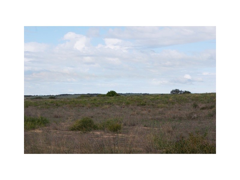 2368 Wye Farm Road, Dongara WA 6525