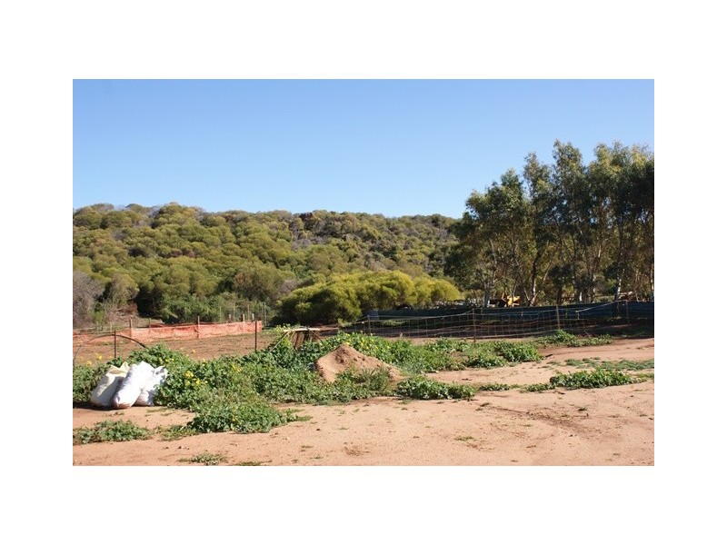 65 Brennand Road, Dongara WA 6525