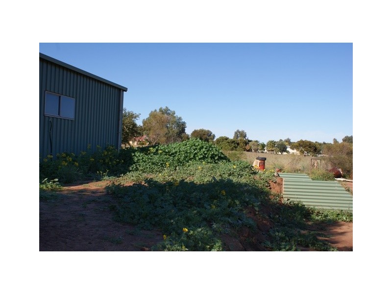 65 Brennand Road, Dongara WA 6525