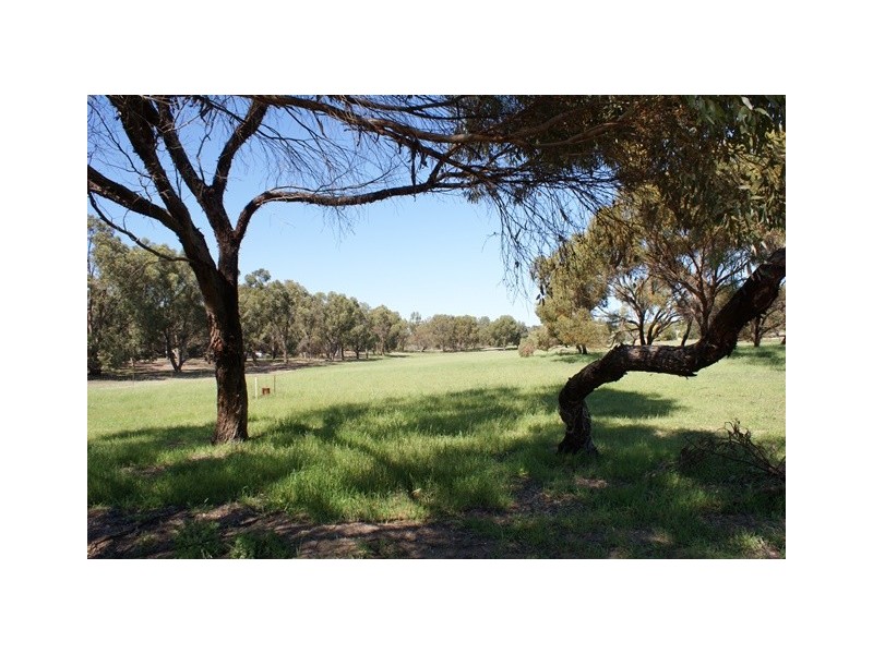 Lot 8 Sheoak Road, Springfield WA 6525