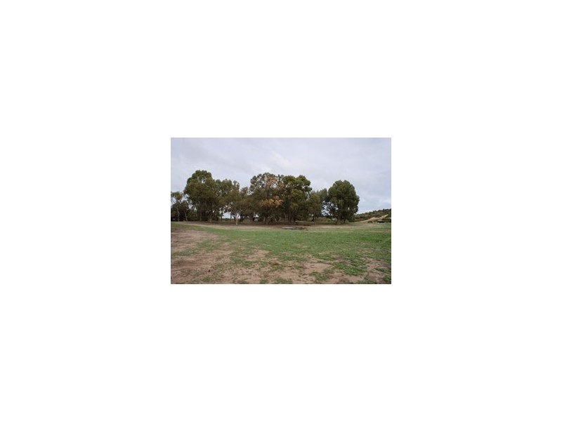 Lot 8 Sheoak Road, Springfield WA 6525