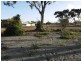 37 Mayrhofer Street, Three Springs WA 6519
