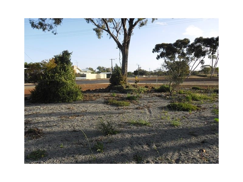 37 Mayrhofer Street, Three Springs WA 6519
