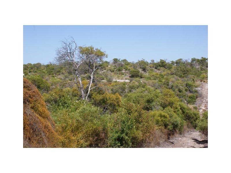 Lot 120 Springfield Drive, Springfield WA 6525