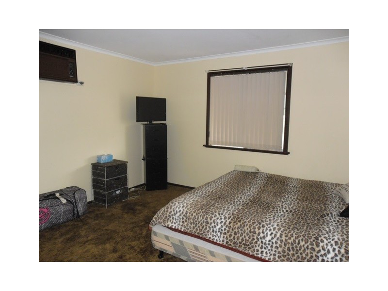 12 Williamson Street, Three Springs WA 6519